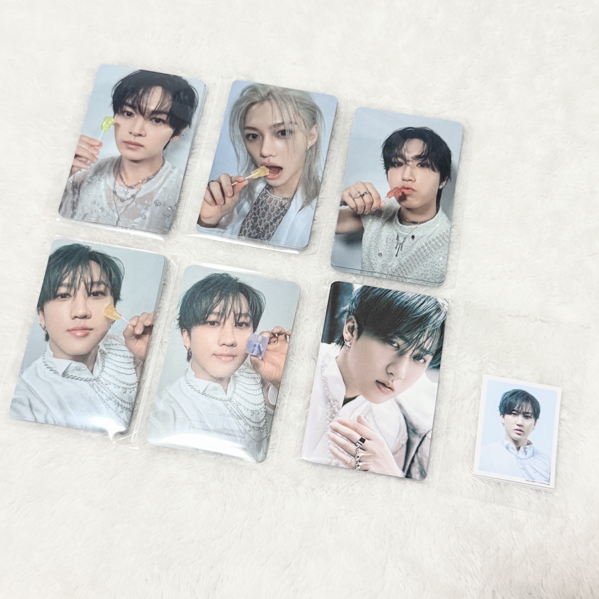 旻彬城菲玟寅 GIANT專卡+證件照