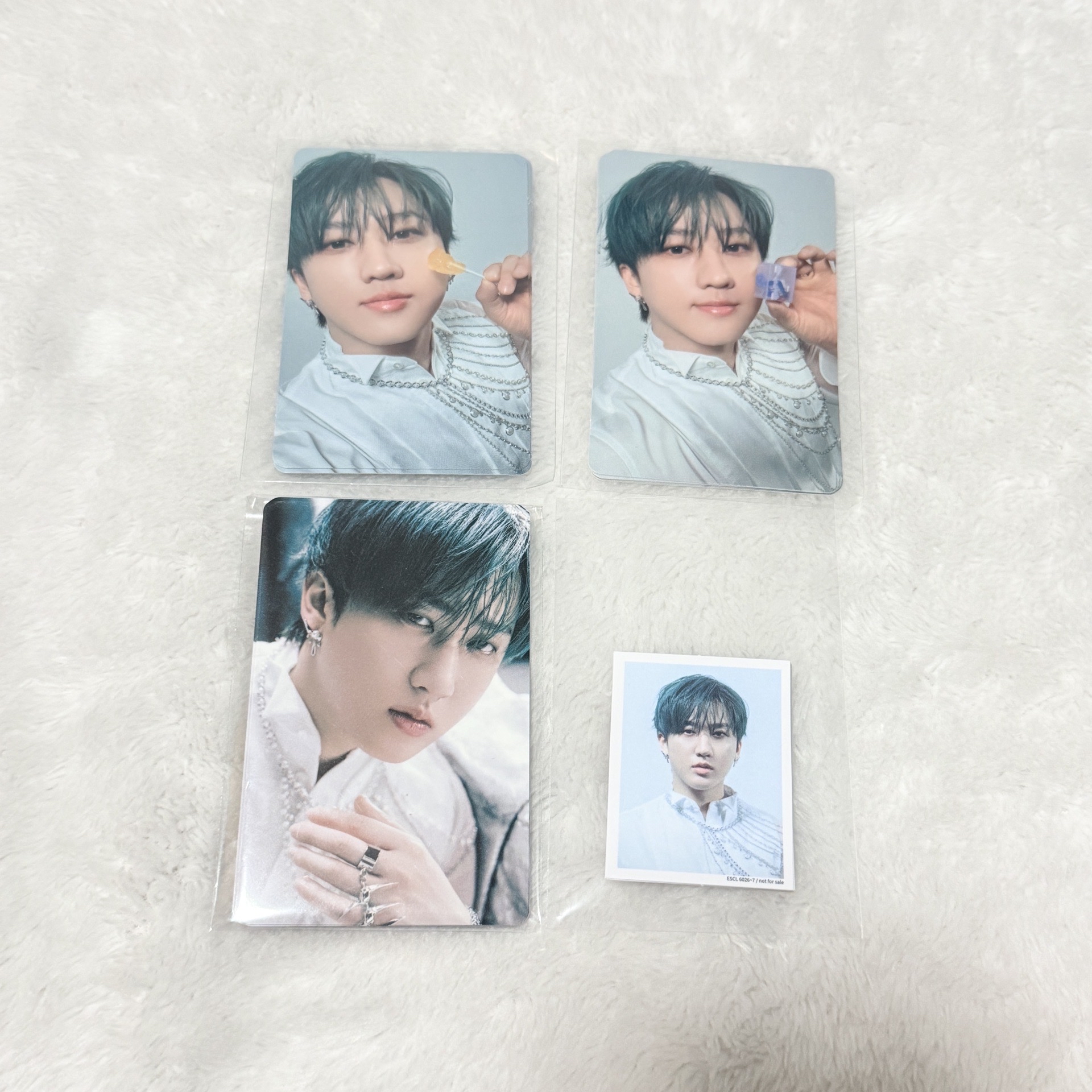 GIANT專卡+證件照