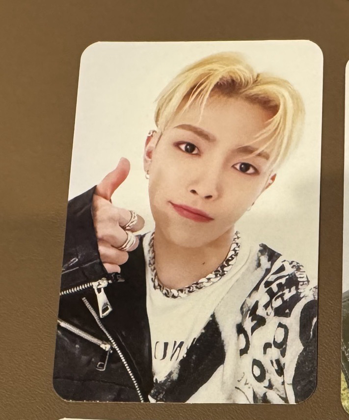 ANITEEZ 美國限定卡冊卡 弘中