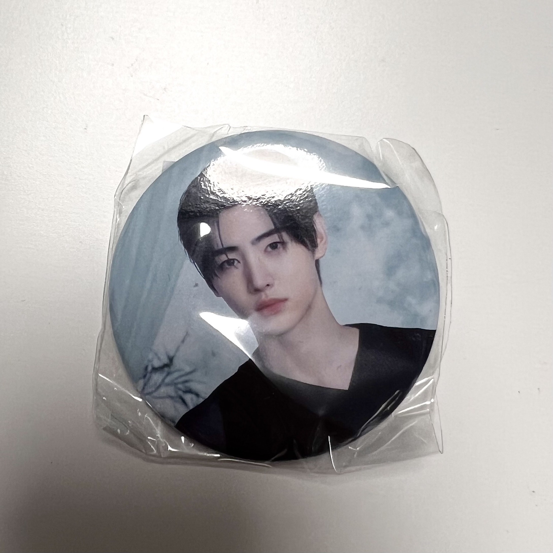 成訓WTL 味之素場徽章