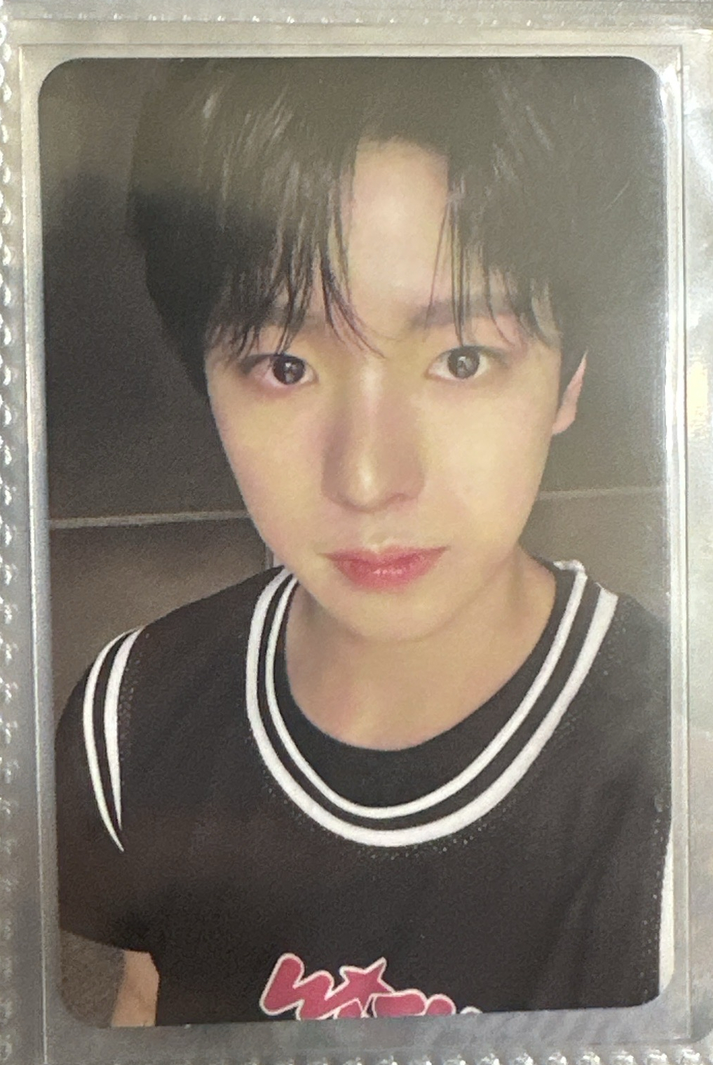 Yushi Steady 專輯卡 QR版