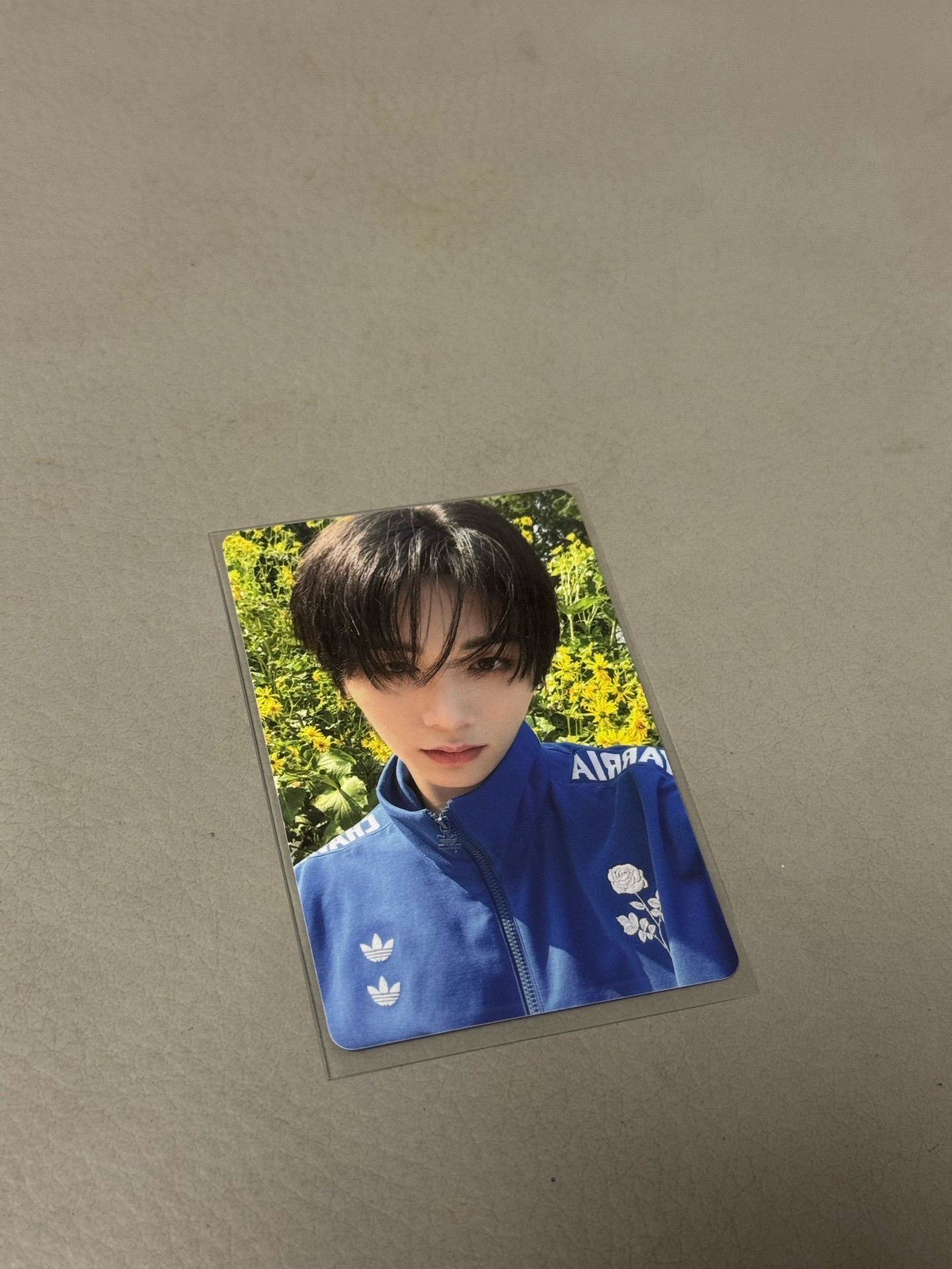 The Action 專輯卡3.4