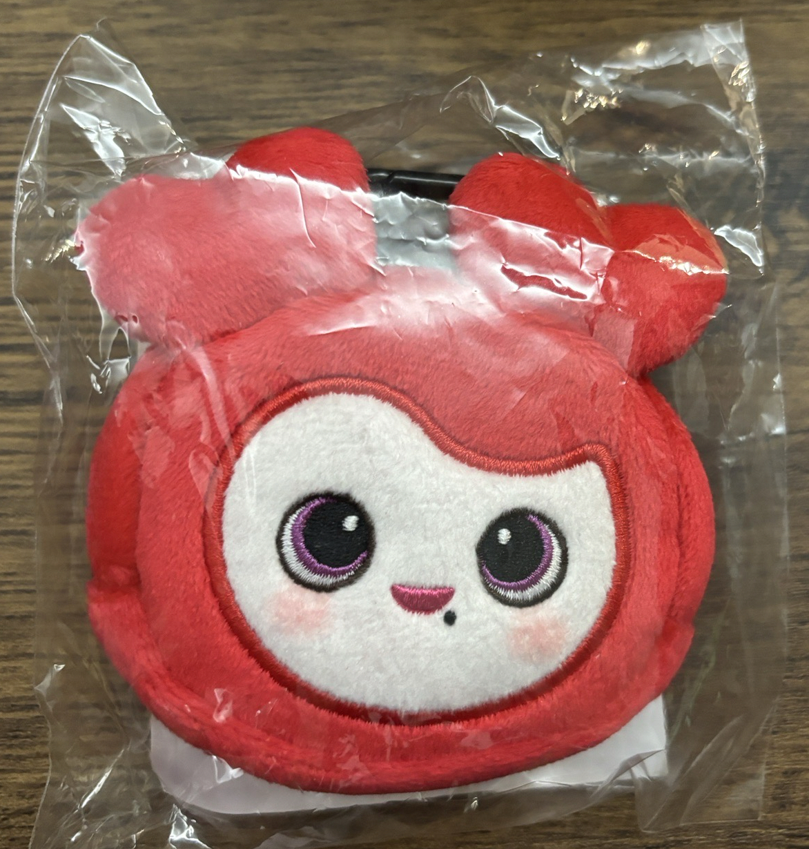 耳機包-彩瑛❤️