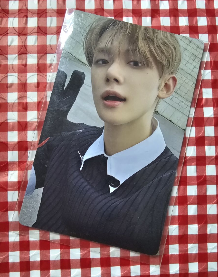 迷七特典 貓爪竣✨️