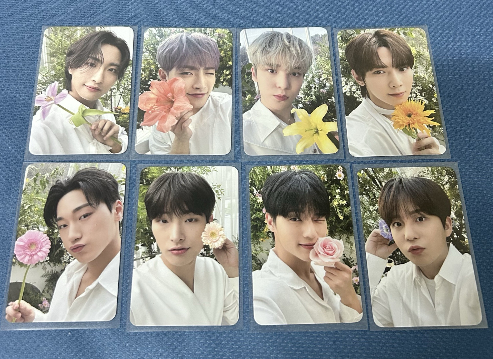 ATEEZ nacific 1.0花花漂亮小卡