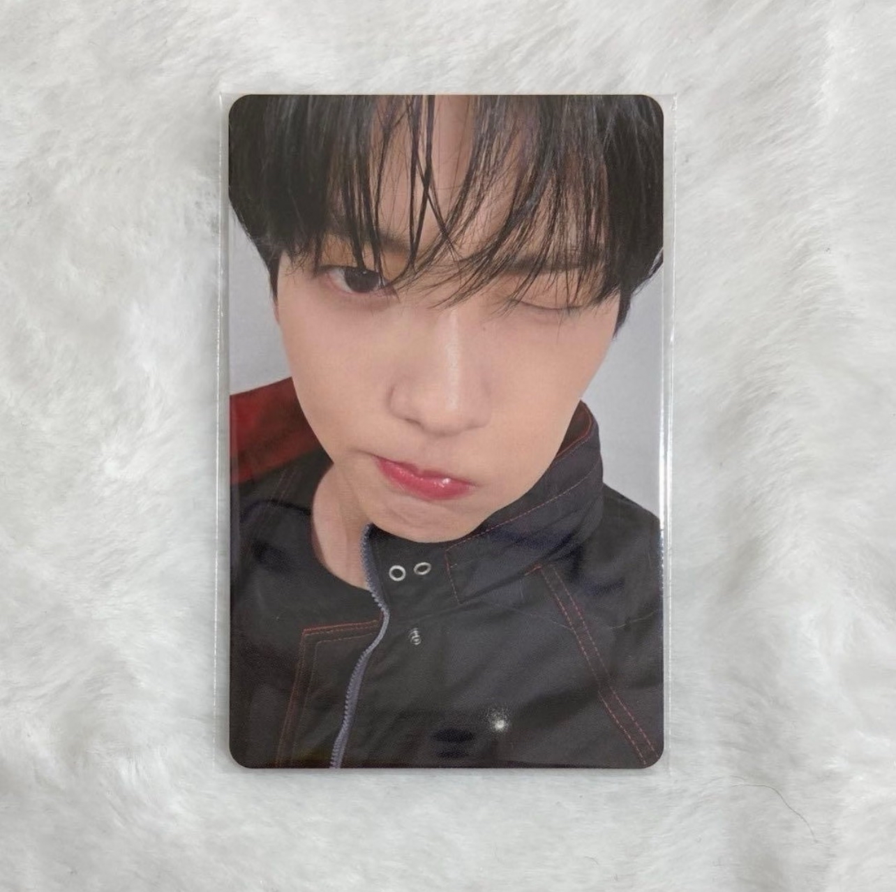 TXT 秀彬東京場限