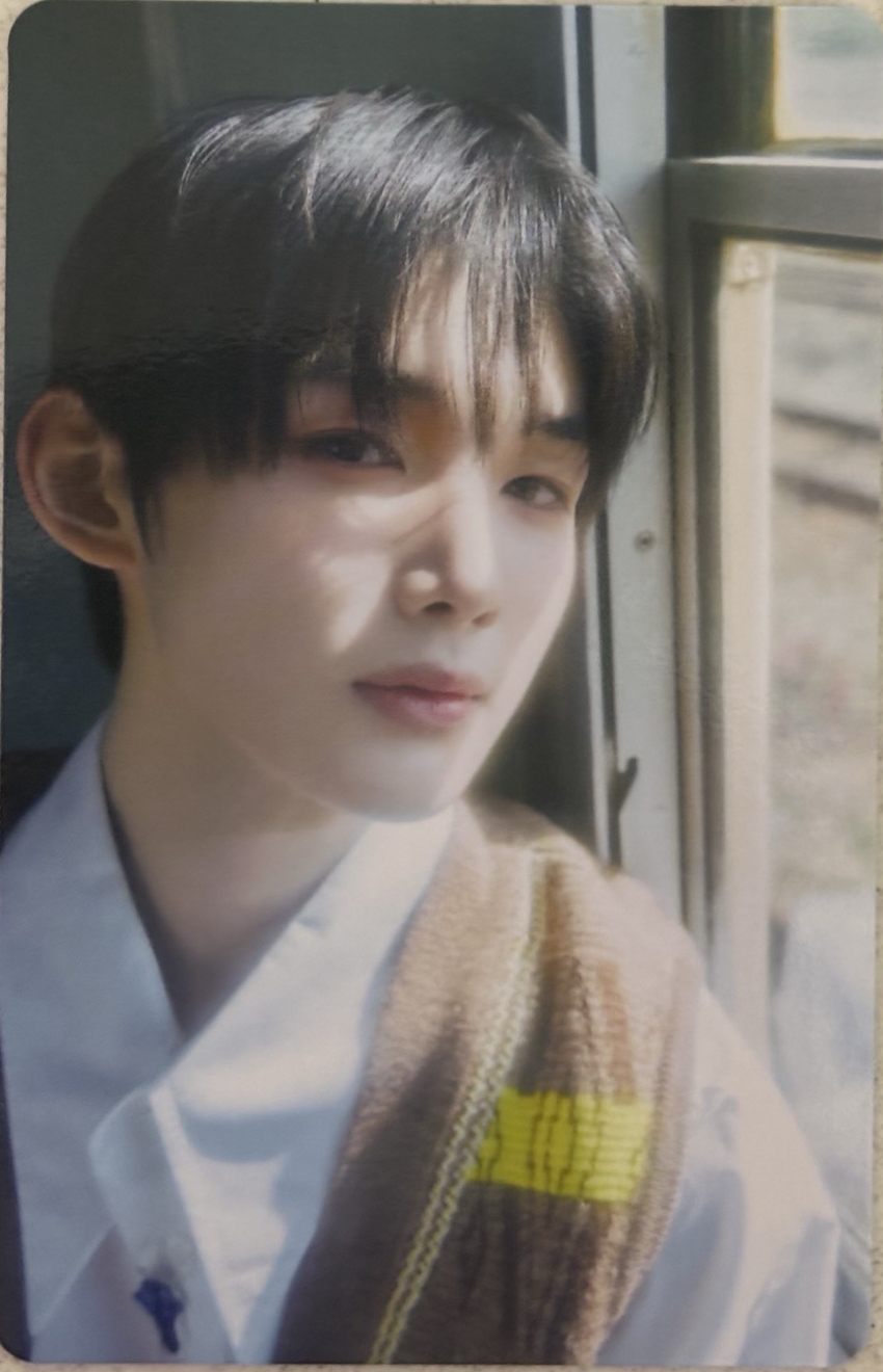 在車窗旁邊曬太陽