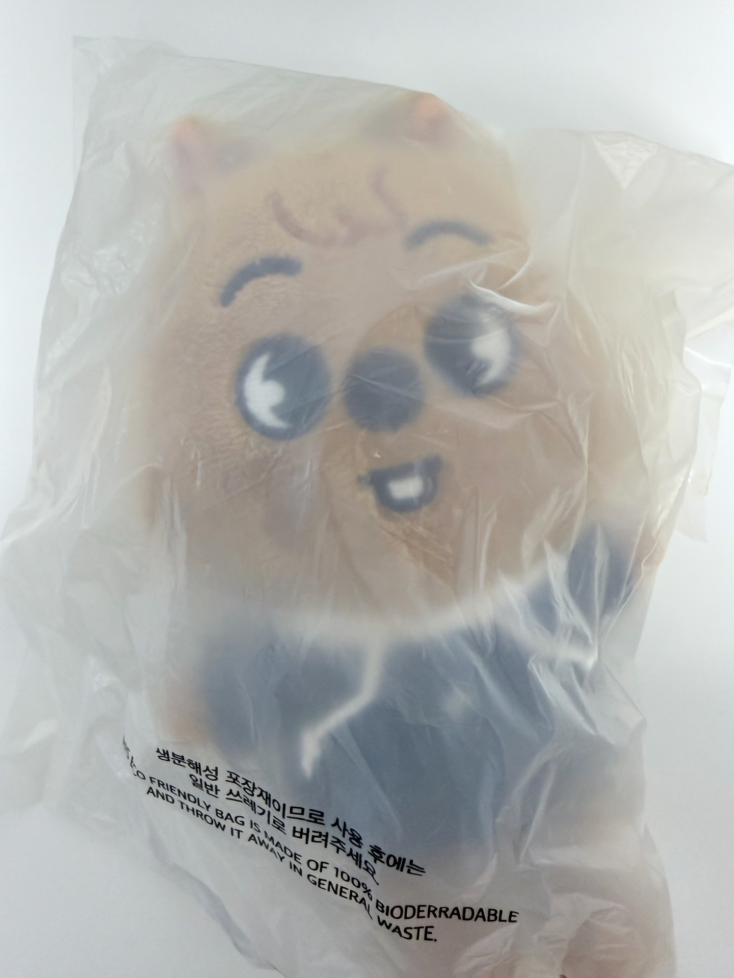 韓知城 四期飯咪 大娃