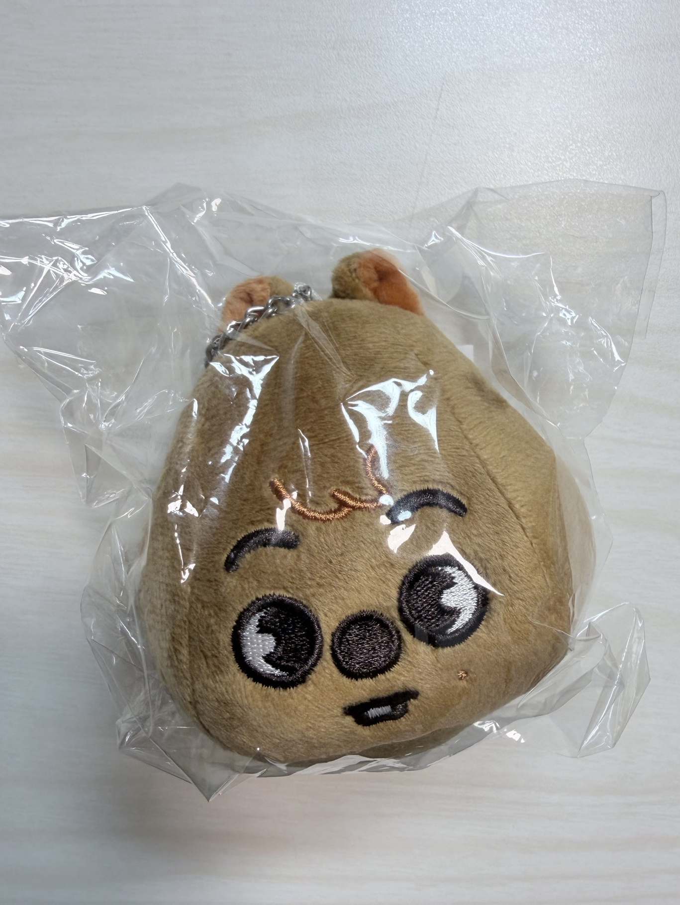 韓知城 日本蛋巡 熱氣球娃