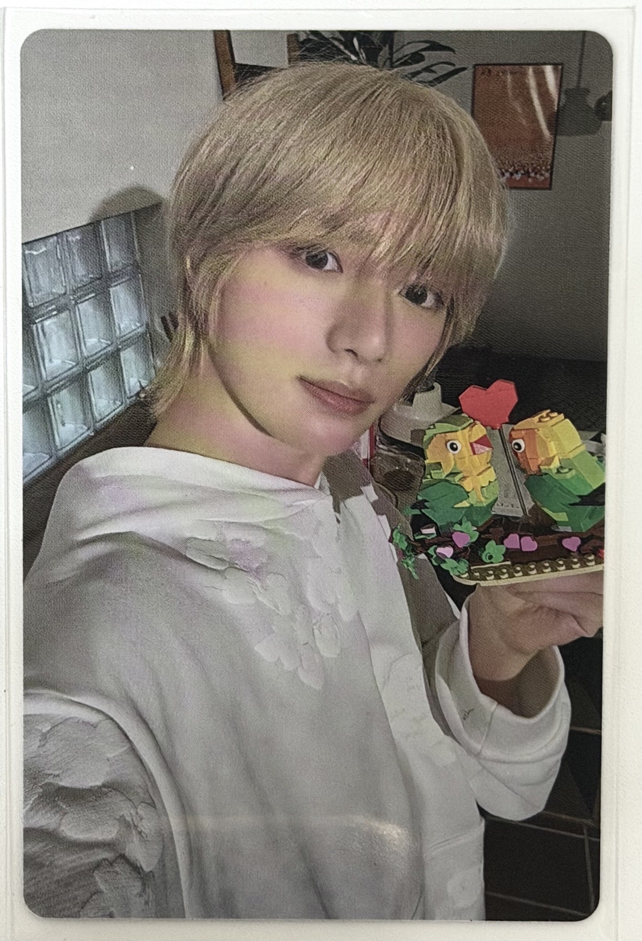 崔杋圭 迷七專卡