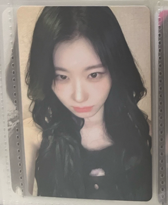 數星星領（中文卡背）