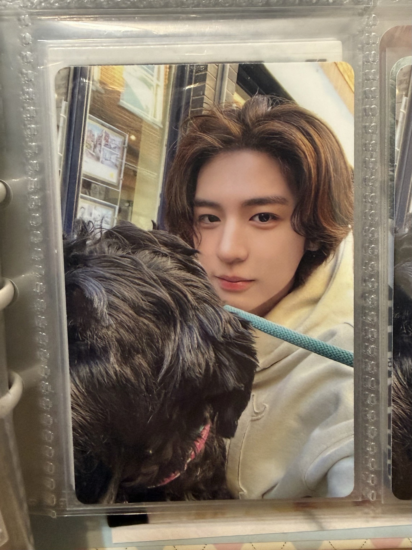 HOW? 單封 專輯卡 Sticker ver. 金桐儇 leehan