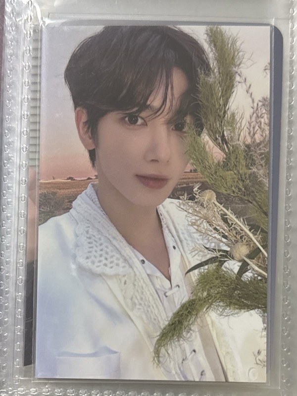 24’巡迴 入場卡 / 場限卡 moa zone 粽卡 zone卡 太顯