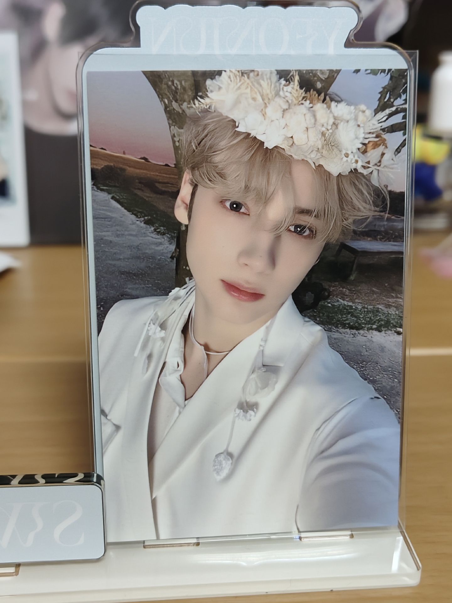 ⚡花環寧 台北粽卡寧