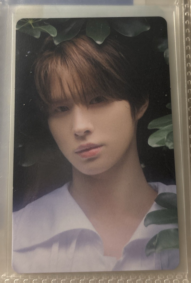 日專 塔店澀谷限定 抽選卡（🐹）