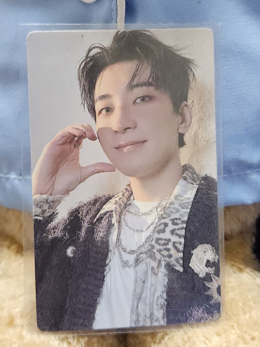 Seventeen 正規五 wvs特典（圓）