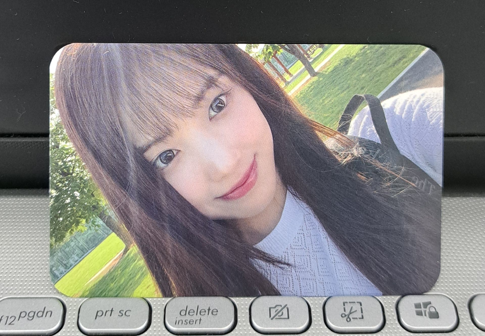 仲夏夜 sw 陽光友+同造型專卡