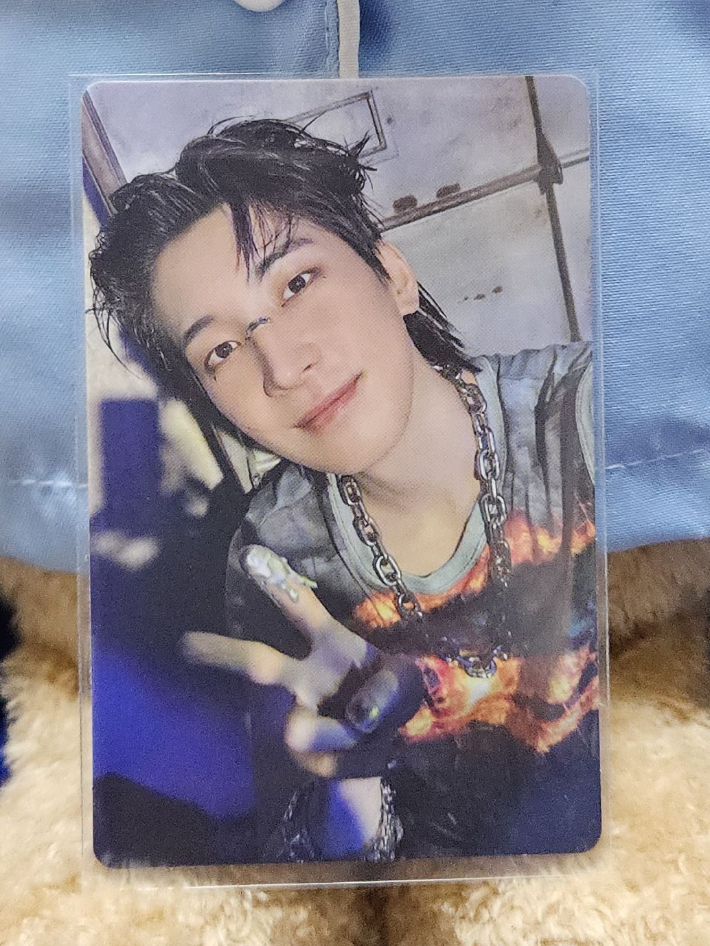 Seventeen 正規五 專卡（圓）