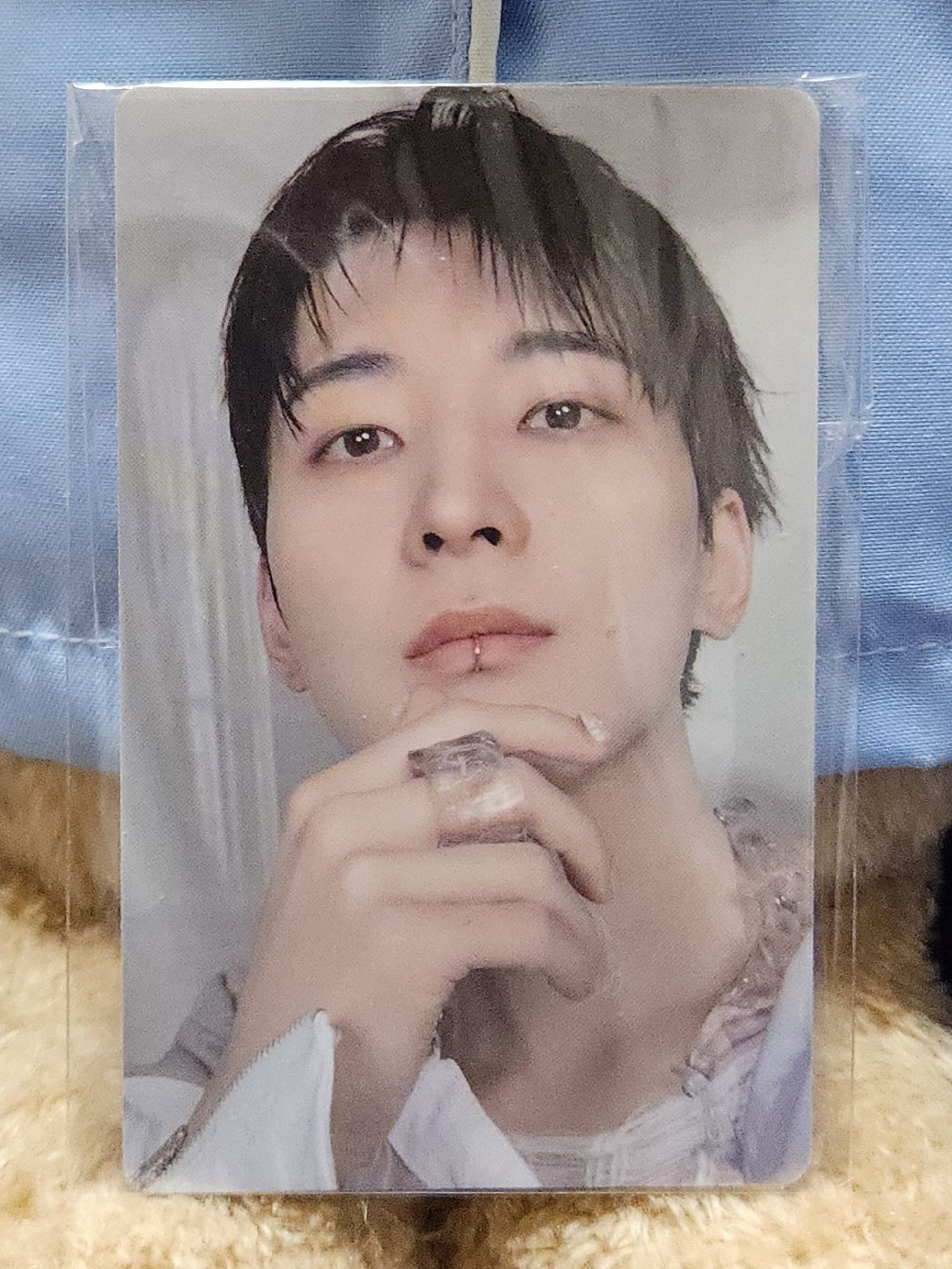 Seventeen 正規五 wvs特典（圓）