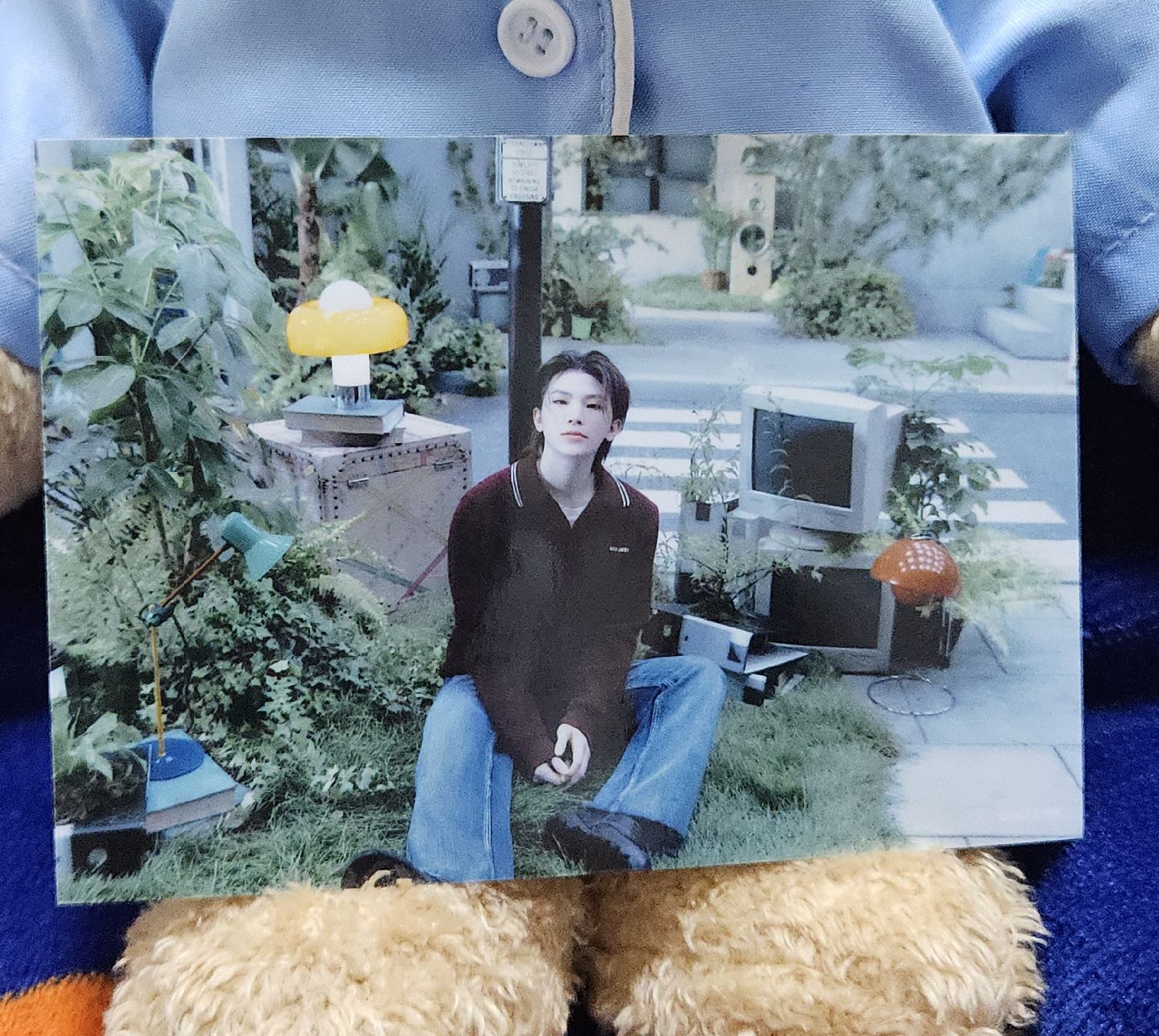 Seventeen 消費期限 生寫真（woozi）