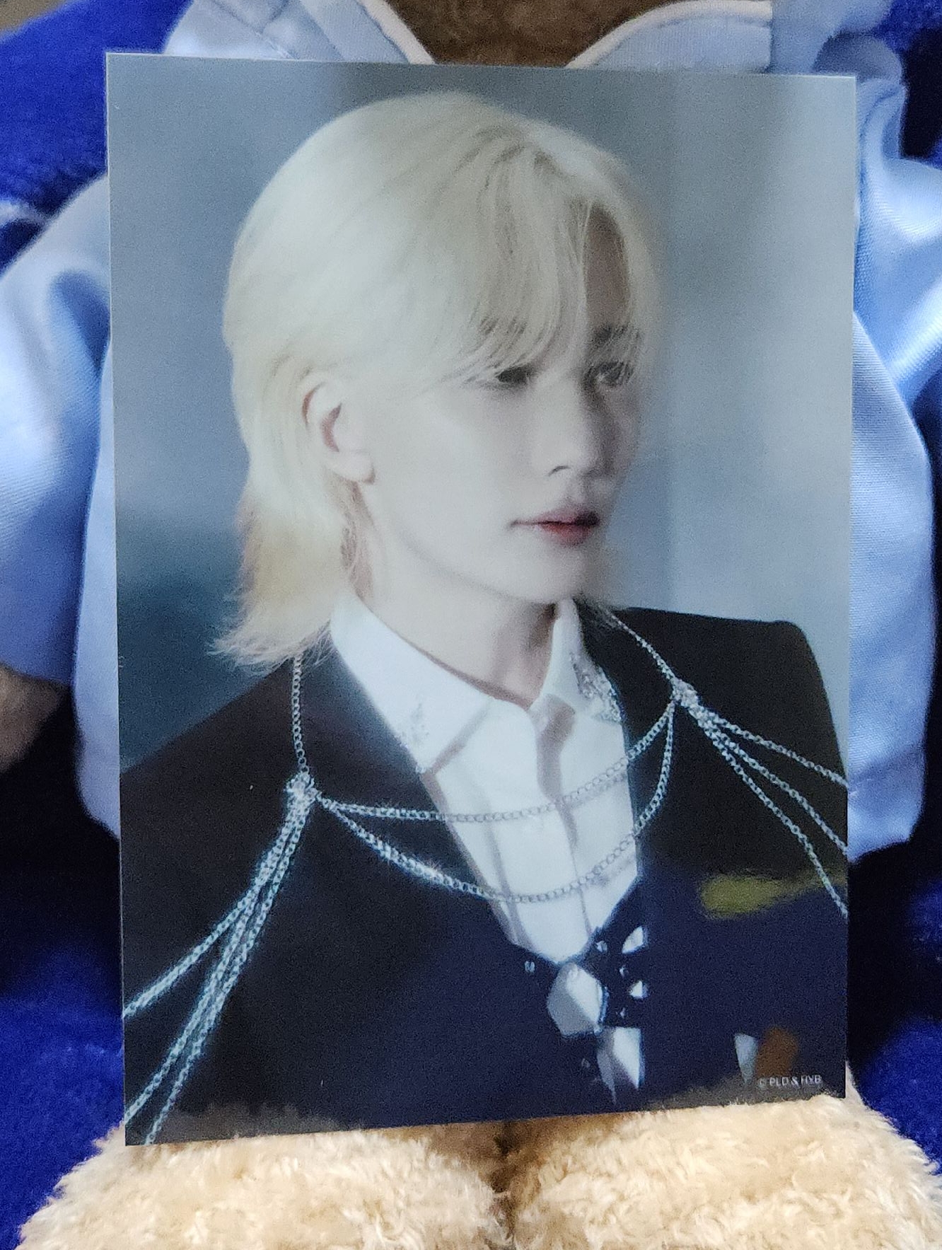 Seventeen 消費期限 生寫真（漢）