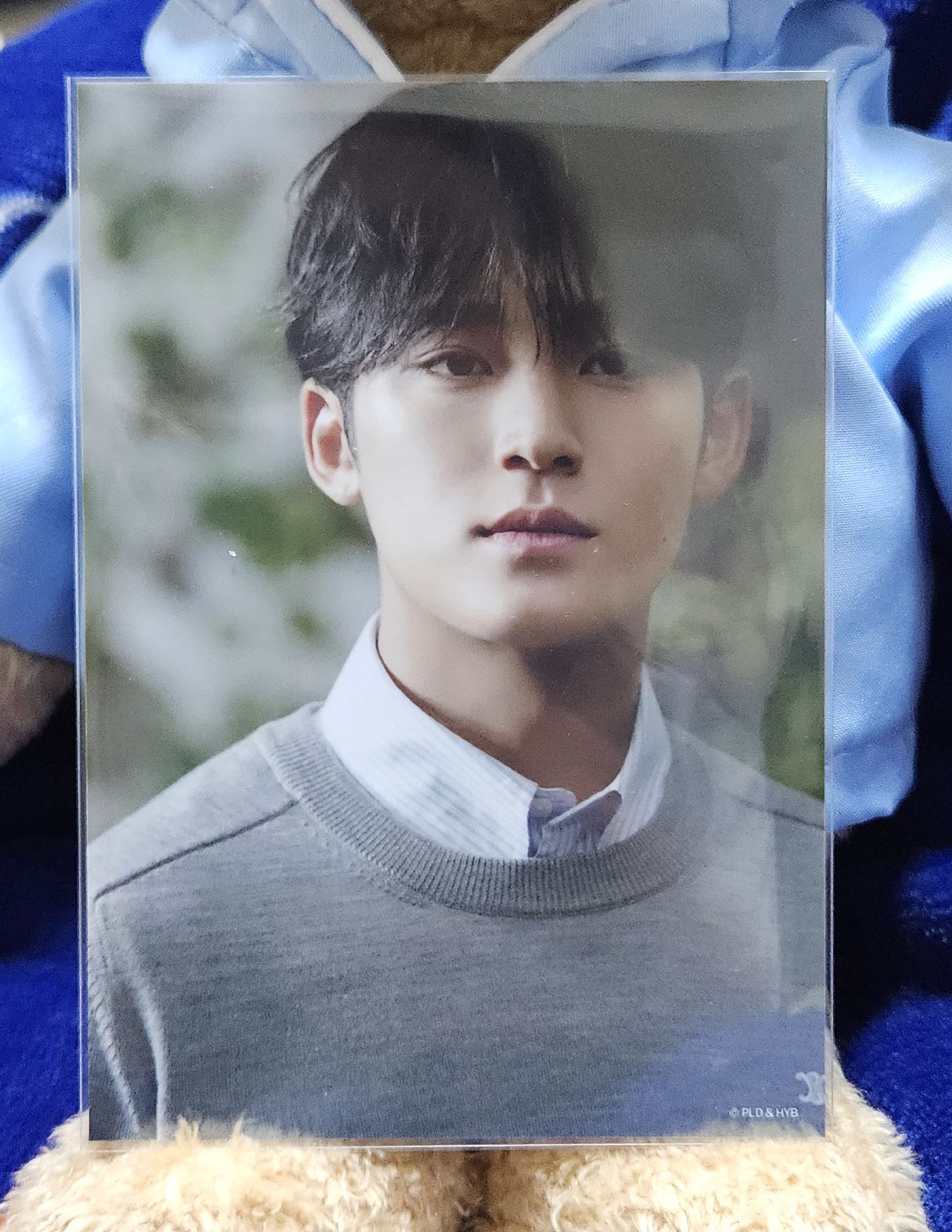 Seventeen 消費期限 生寫真（奎）