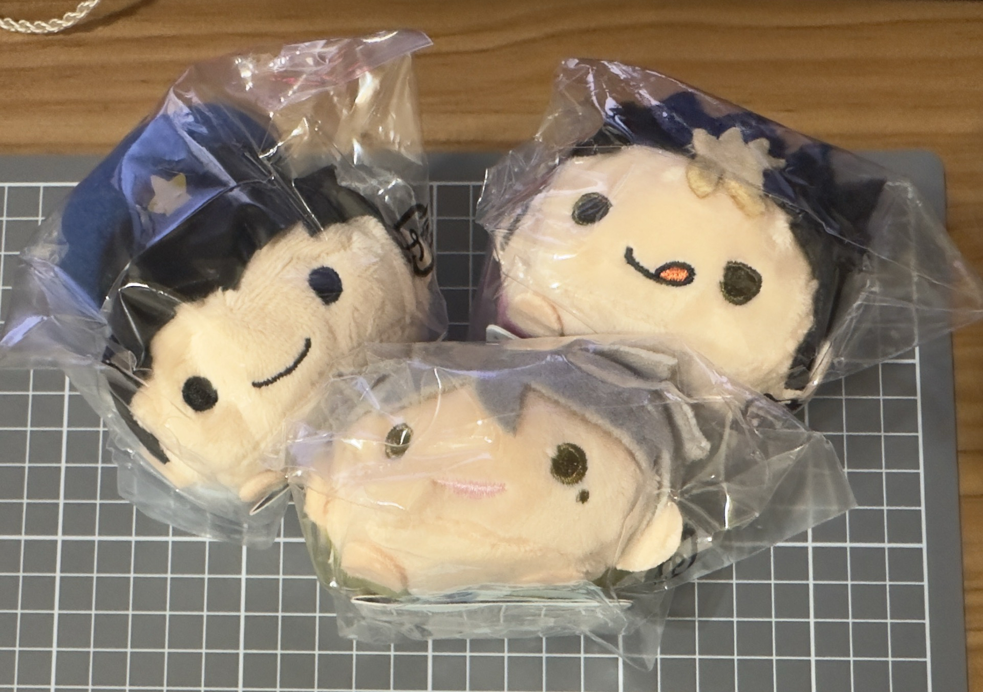 排球少年 大地、菅原、西谷十週年趴娃