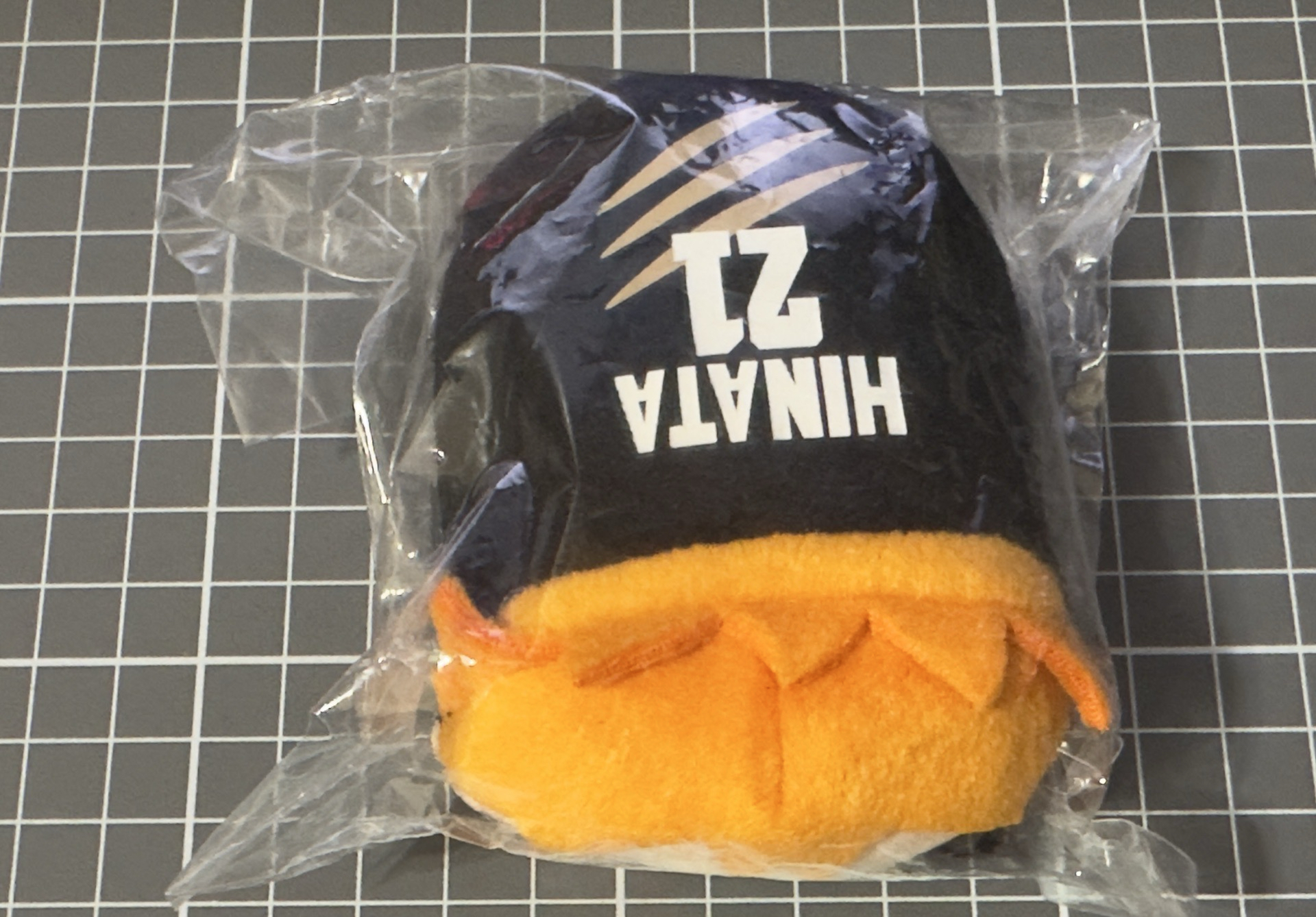 排球少年日向JS趴娃