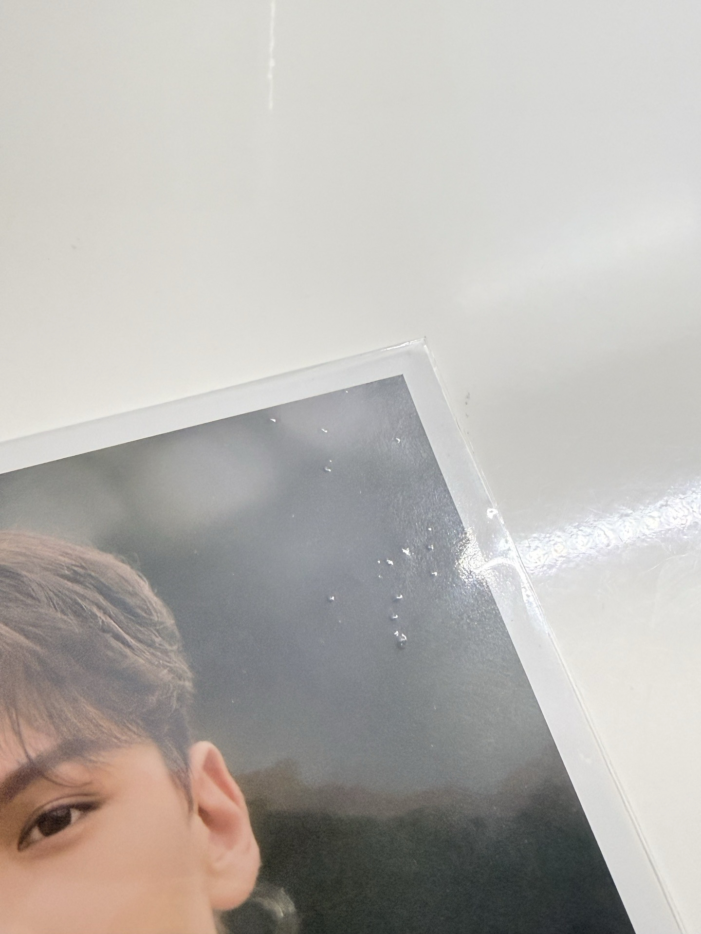 🩶sc檔案卡 率🐻‍❄️⚠️大損