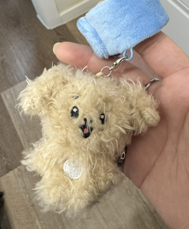 Miniteen手燈環 碩 DOA