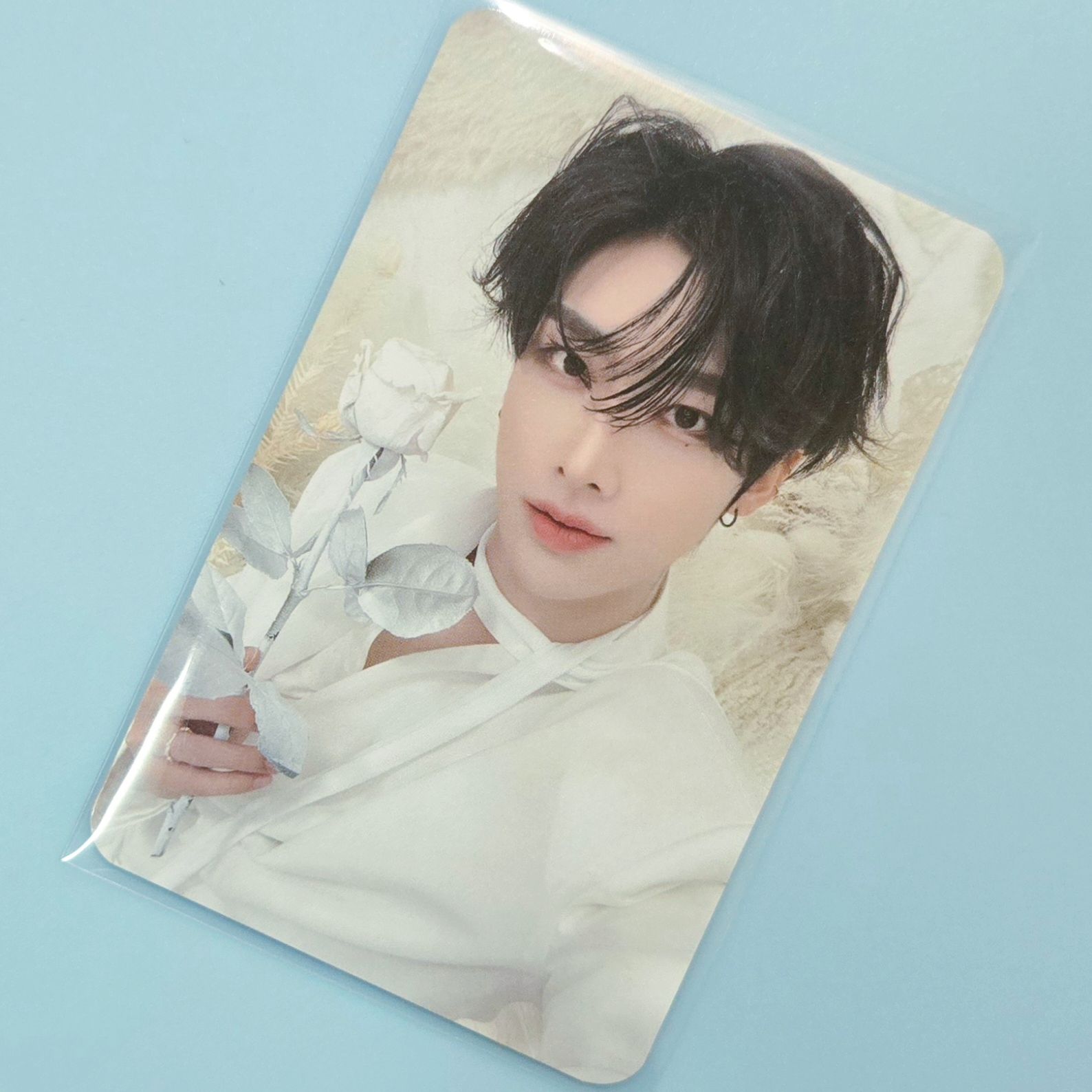 🩷ZB1 沈泉鋭 迷五 SC入場卡拿花