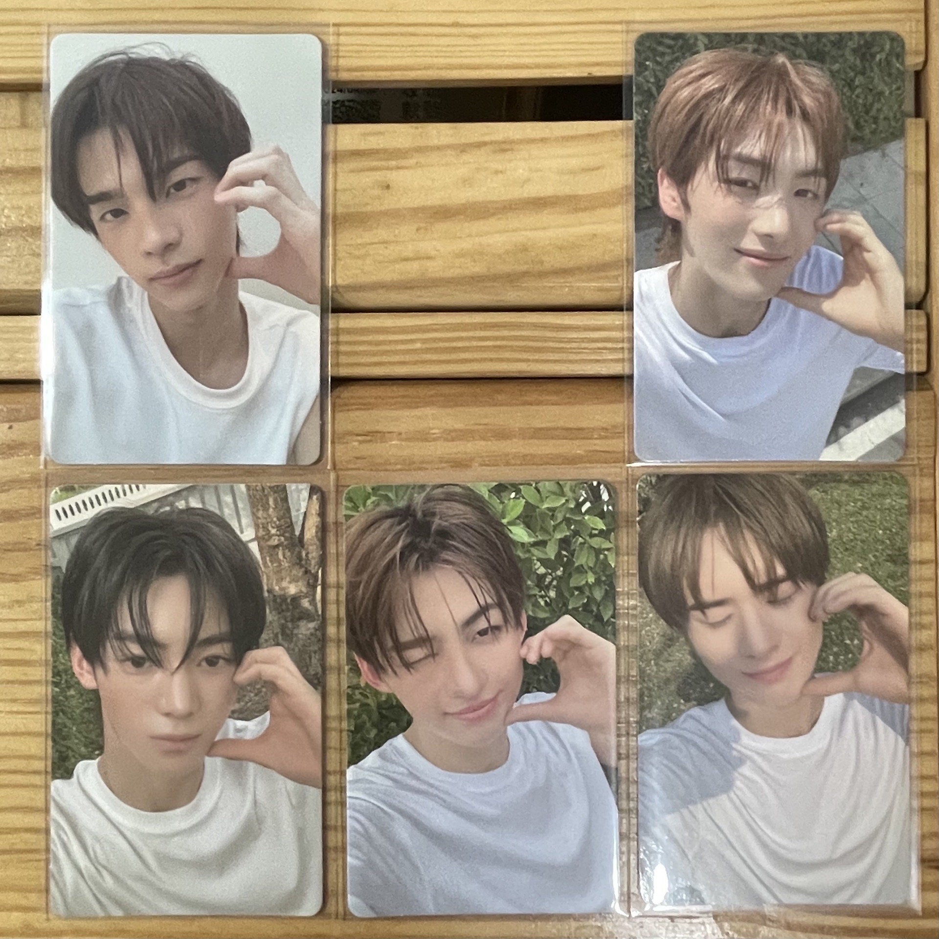 SUMMER BEAT! wvs 特典卡 預售 一套缺道勳