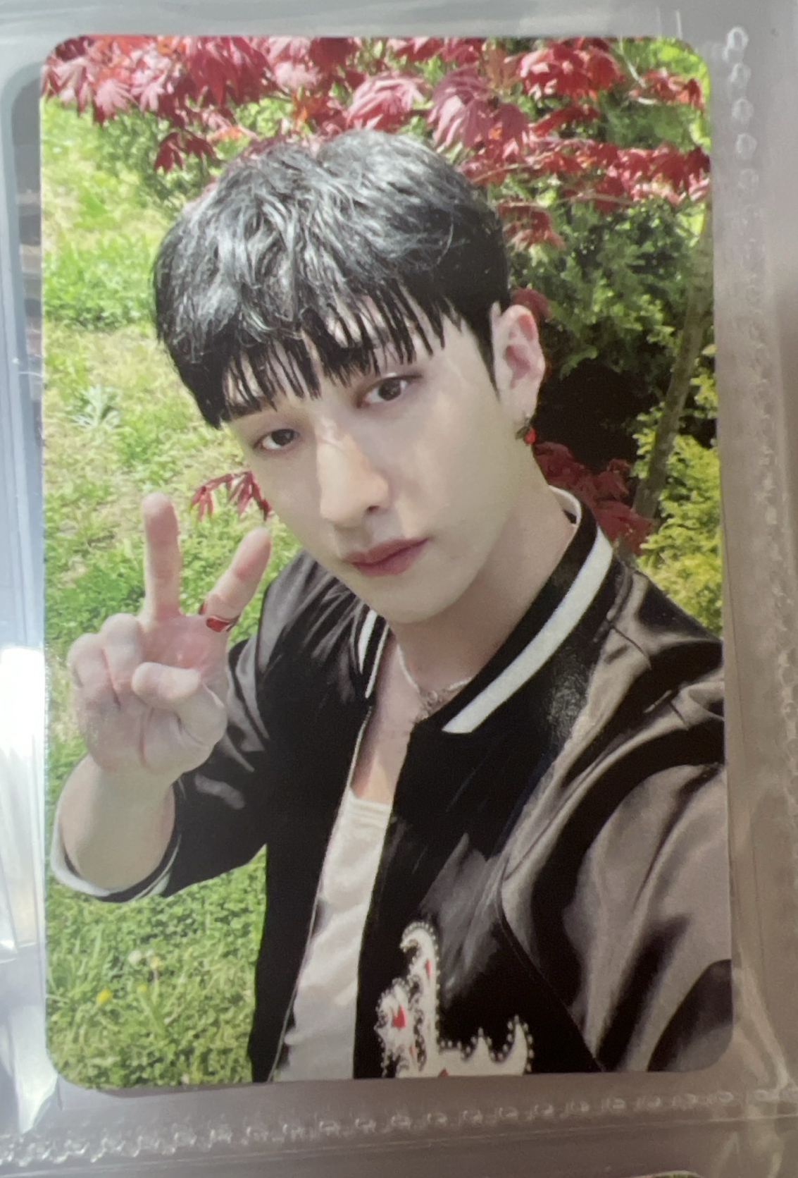 方燦 MAXIDENT 專卡