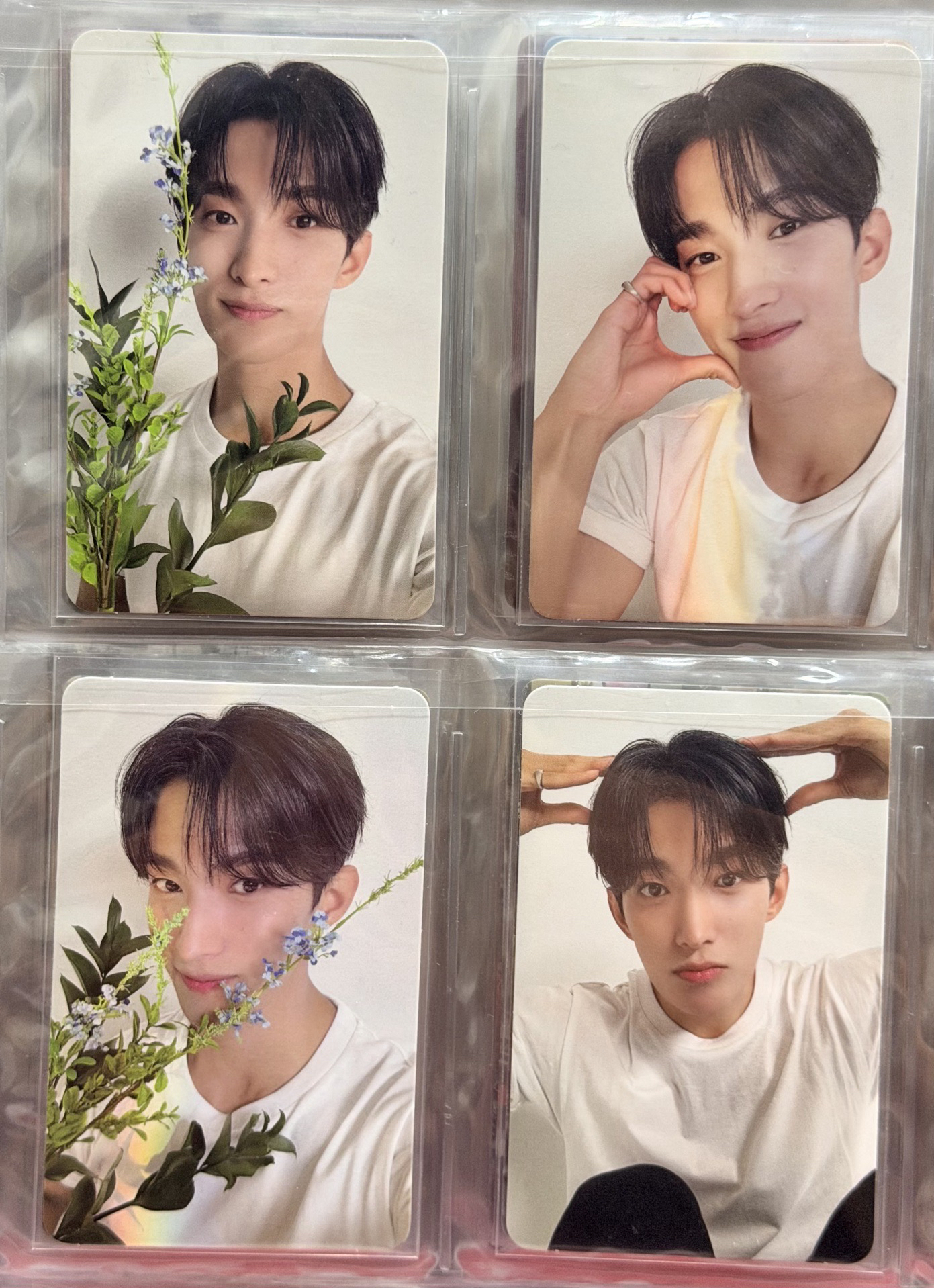 精選輯 DK狗狗碩 4張不拆