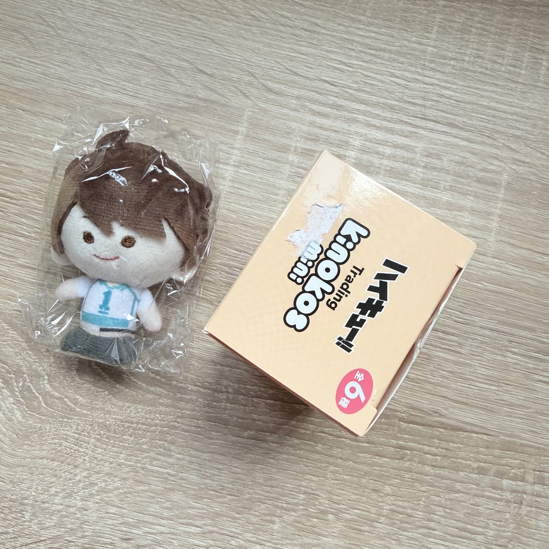 排球少年｜Kinokos mini｜及川徹