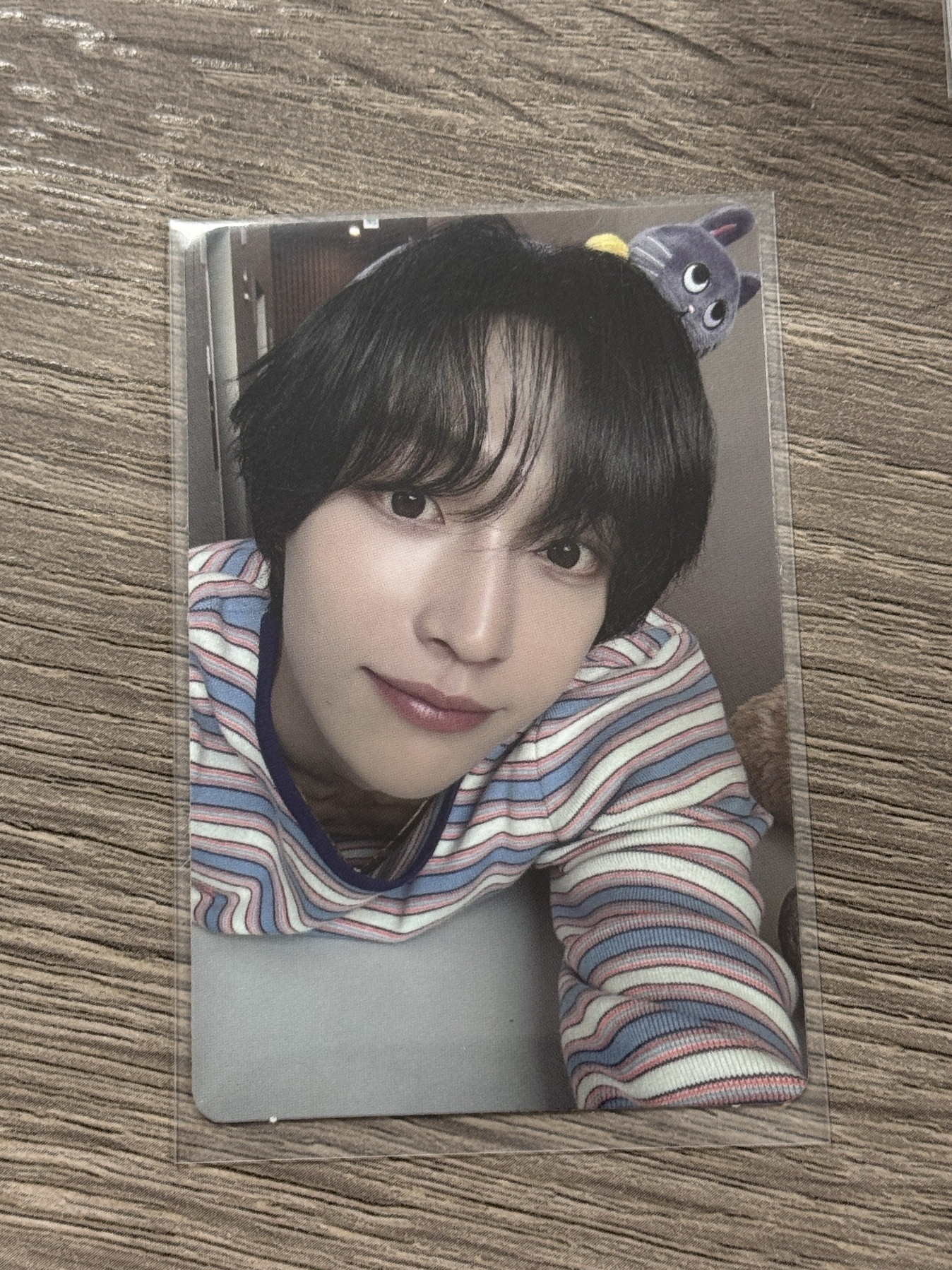 愛寶樂園 髮箍卡 元彬