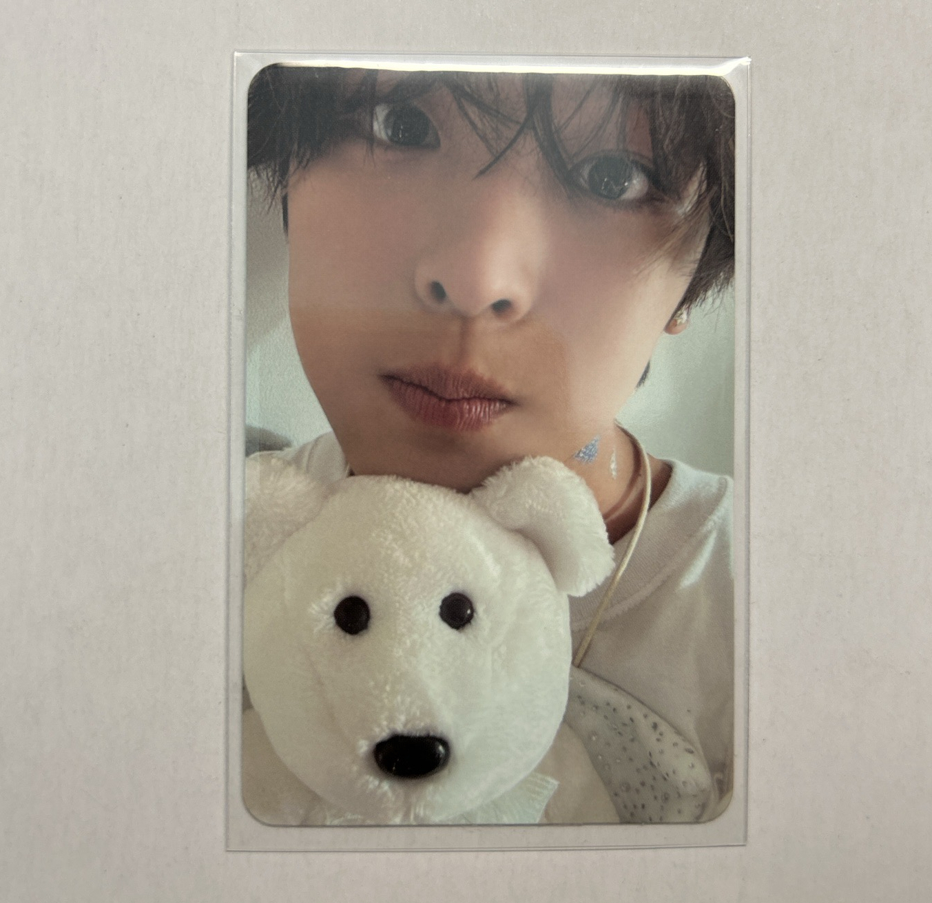 NCTWISH RIKU 前田陸Steady白版小熊卡