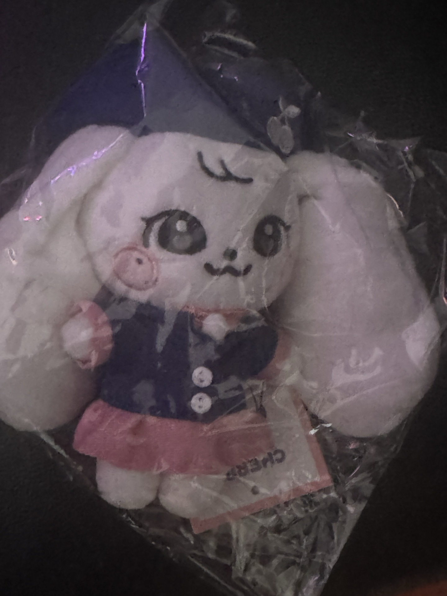 minive school 校服員