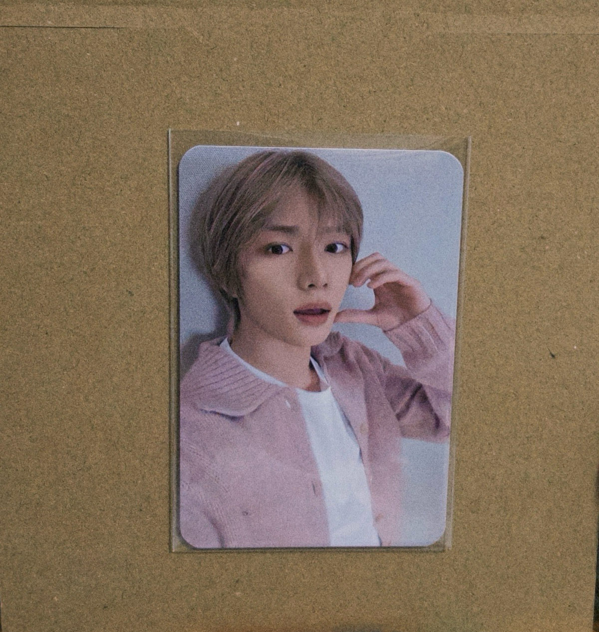 杋圭 數星星中背