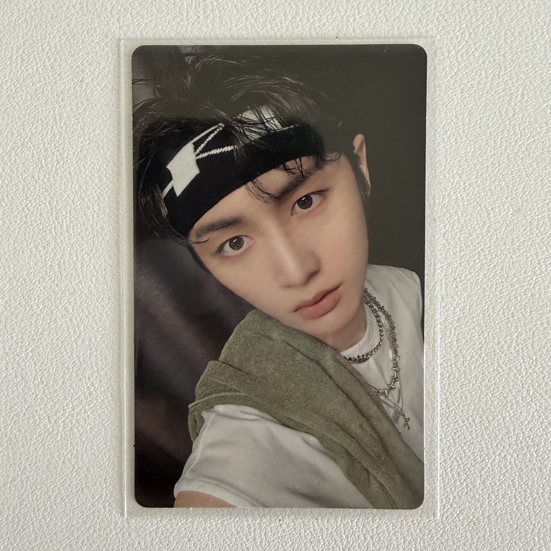 19.99 wvs直播卡泰山