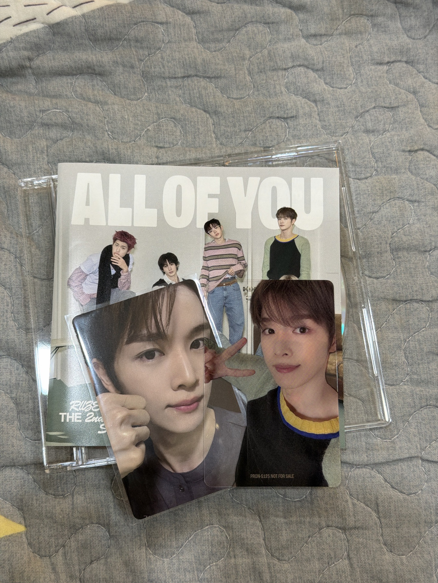 東蛋限定專成燦