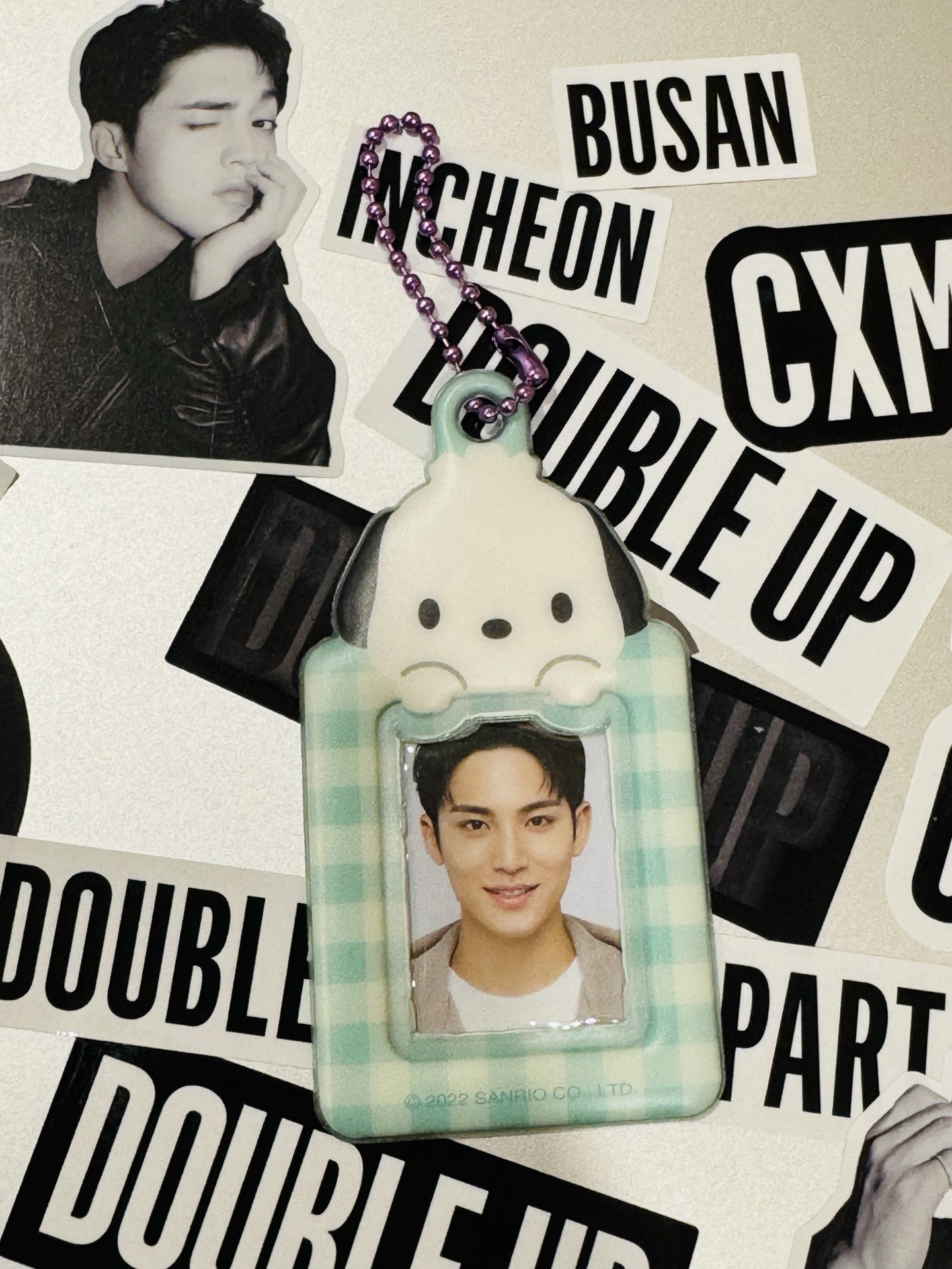 三麗鷗 證件照套 帕恰狗 鑰匙圈 卡套 手燈環 手機背卡套 布丁狗 奎 Seventeen