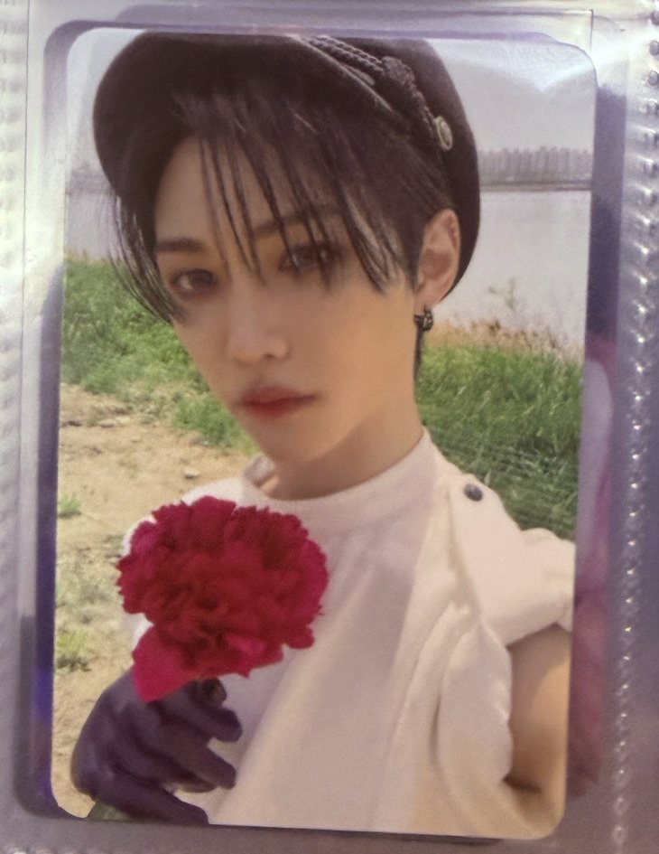 Felix MAXIDENT專輯小卡