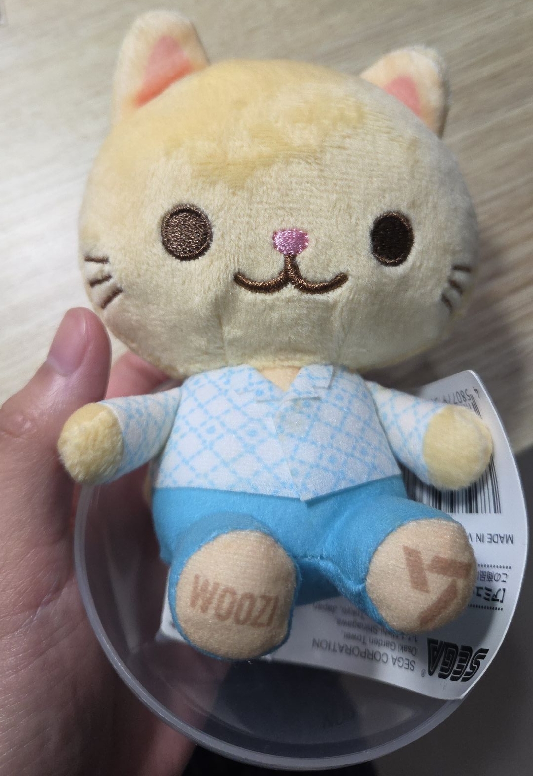 日本 正4後續 SEGA 知勳娃 