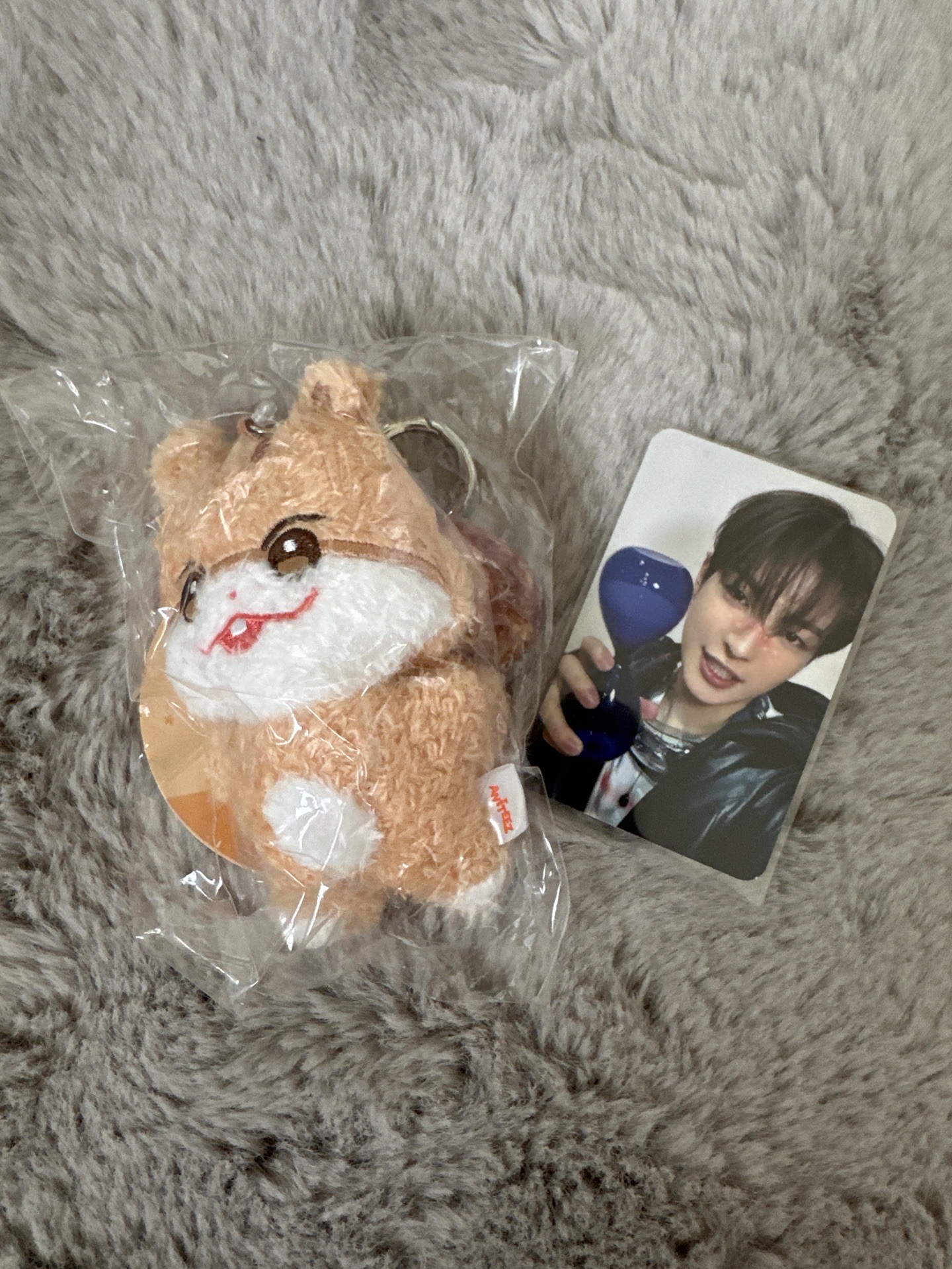 ANITEEZ IN TREASURE 中拉米潦草娃（含卡）