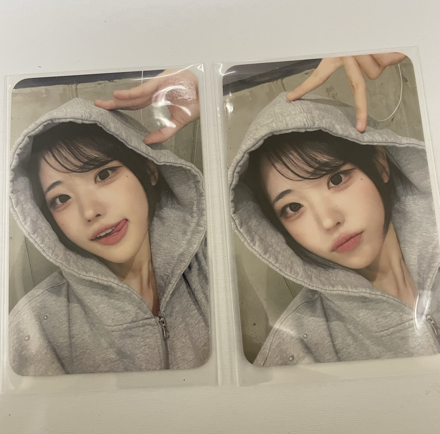 迷三 dmm 線上線下 1.0 簽售卡 HINA小貓 小狗