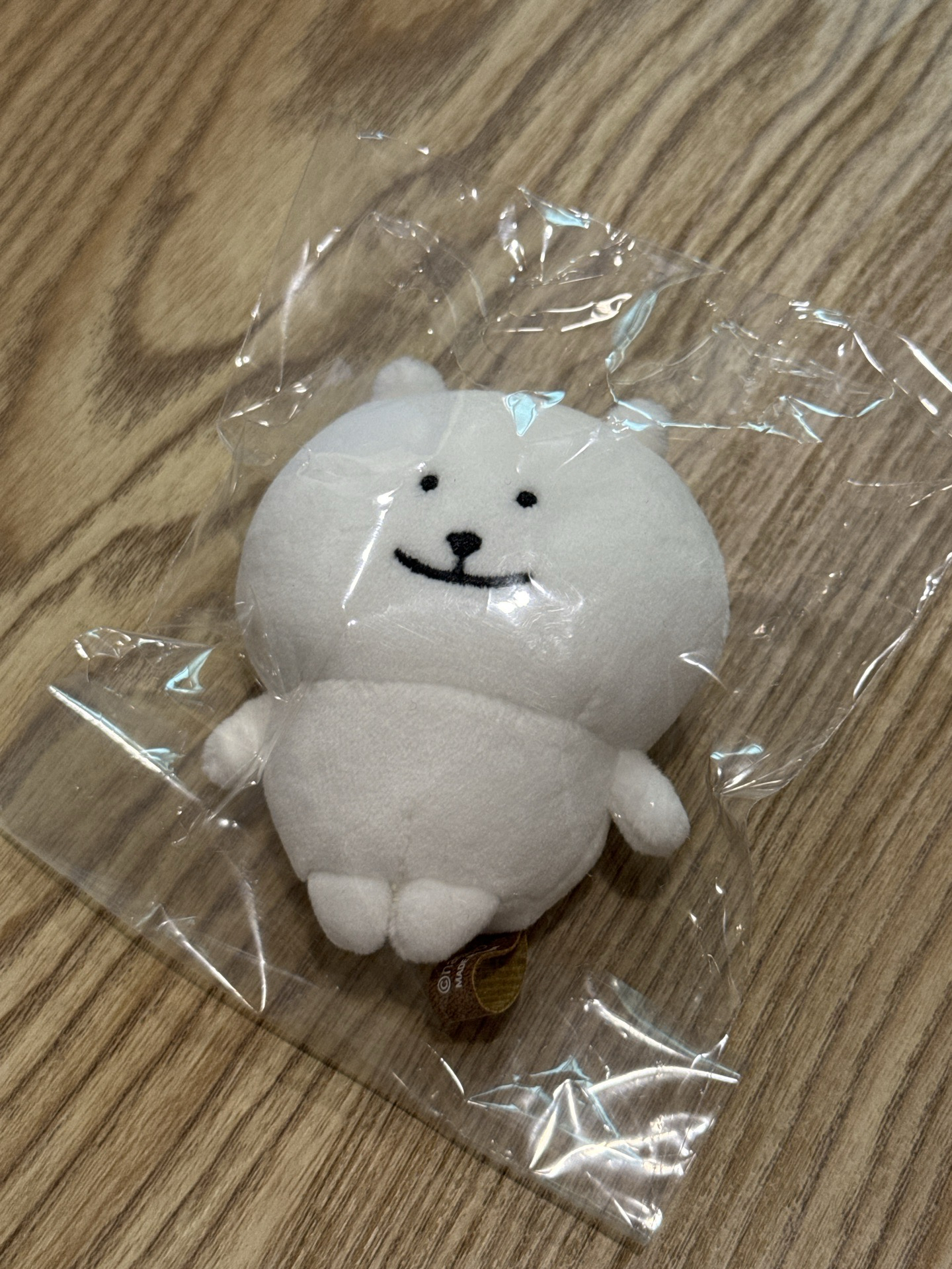 🍊自嘲熊 謎笑熊