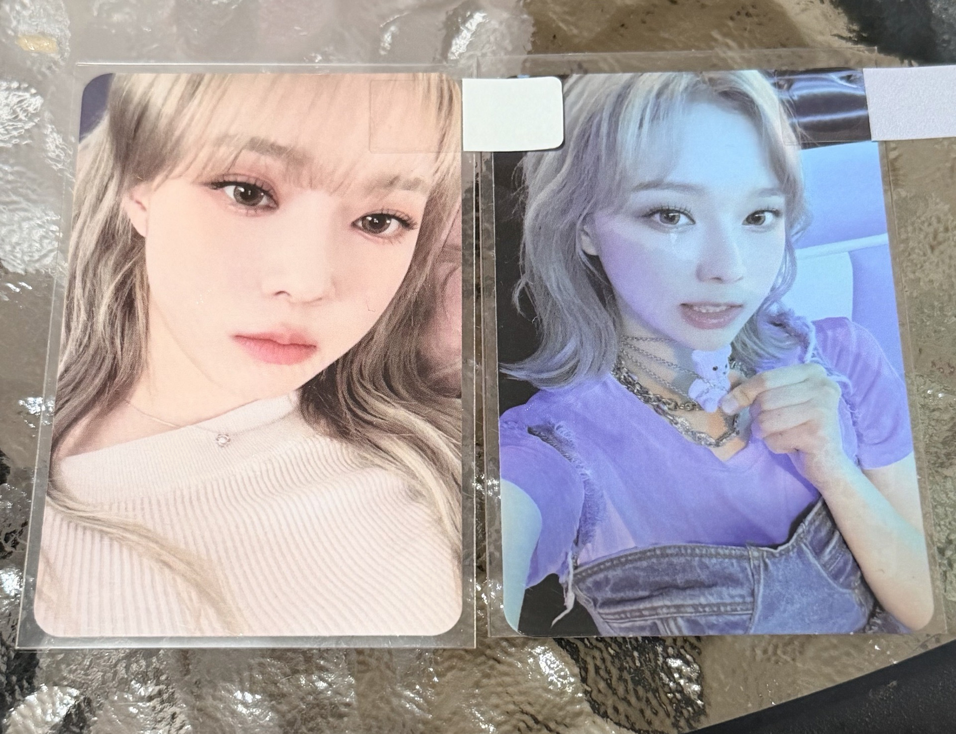 呆呆冬+小熊冬一起出