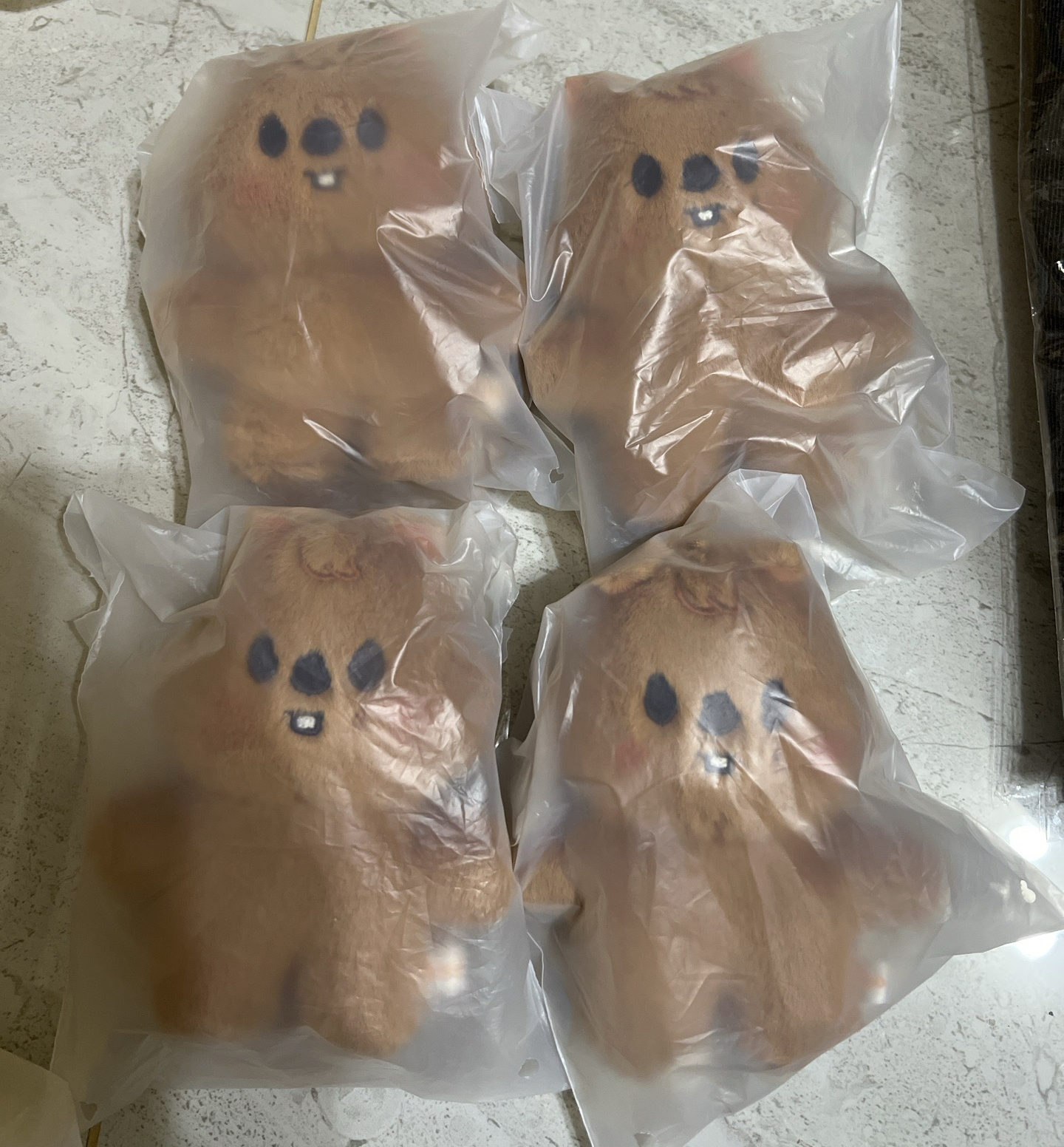 （全新未拆）3rd 世巡安可快閃店 娃娃玩偶 站娃 (HAN)