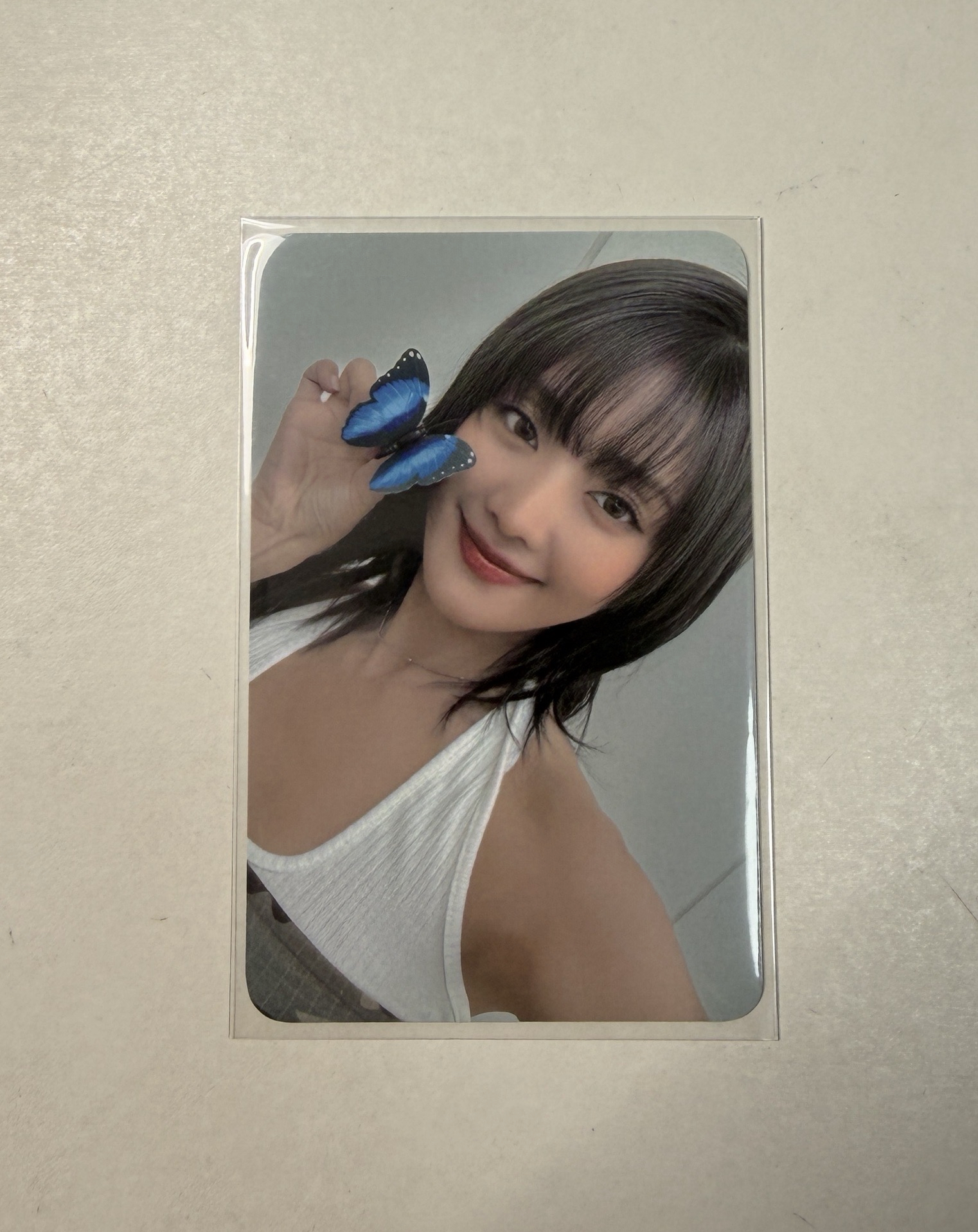 迷八 楠藝5.0蝴蝶妮